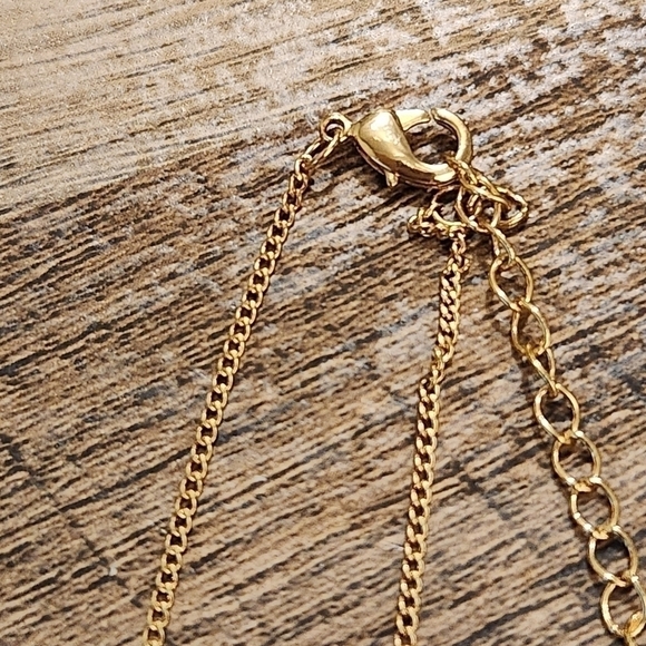 Luna Norte Goldtone Necklace - Picture 7 of 9